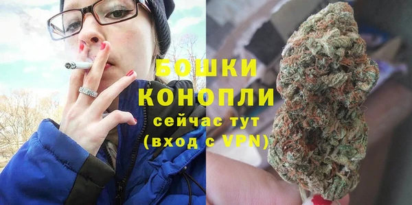 бошки Алексин