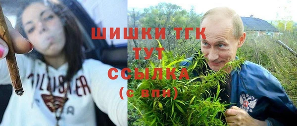 бошки Алексин