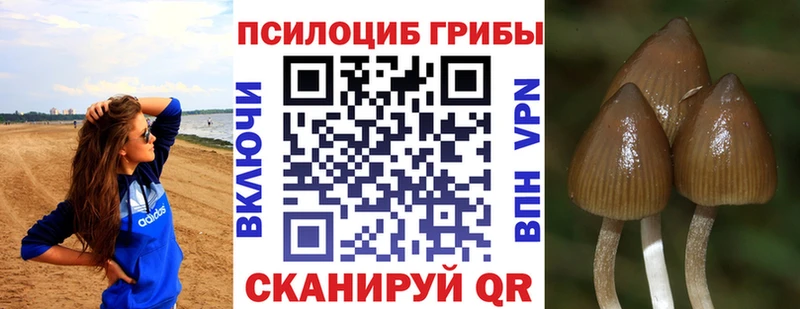 Галлюциногенные грибы ЛСД  Ардон 